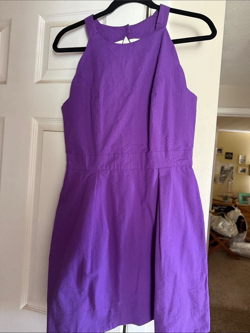 Lauren James woman’s Purple Sleeveless Party Dress